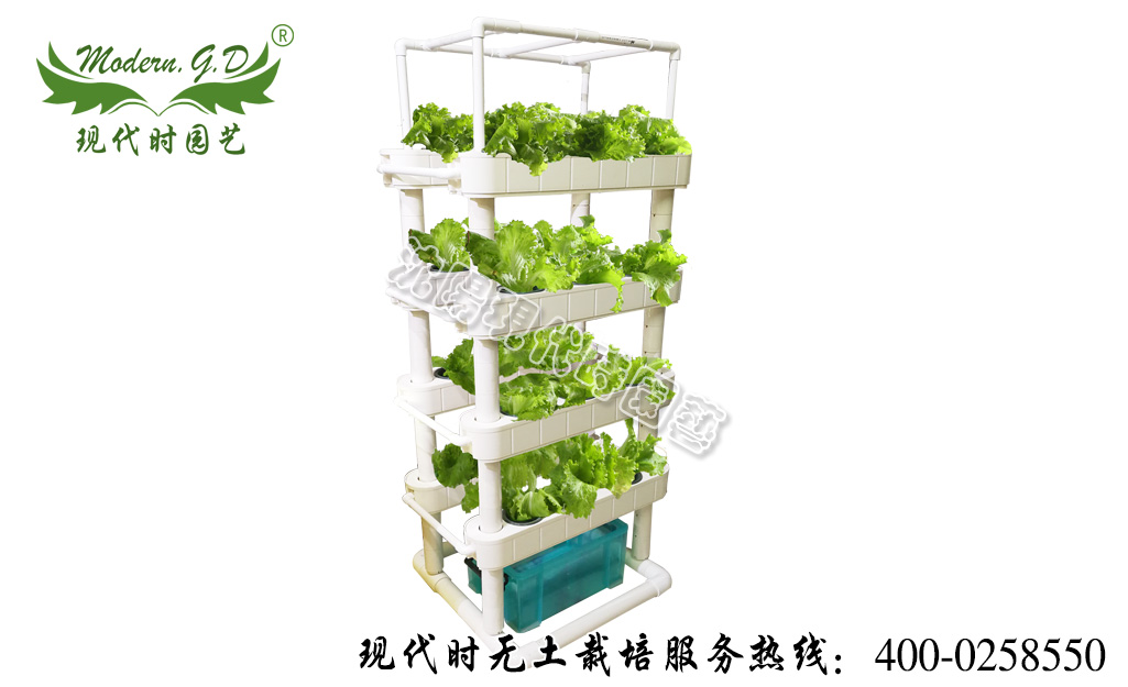 �ЙC�Nֲ�� ��̖��N-01